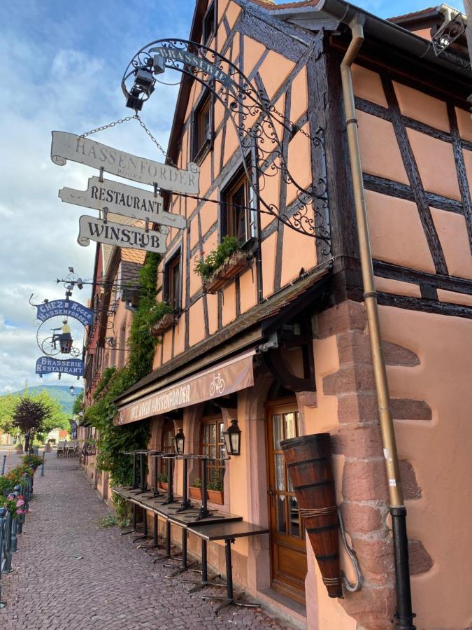 Appartement Le Chamois Kaysersberg-Vignoble Exterior foto